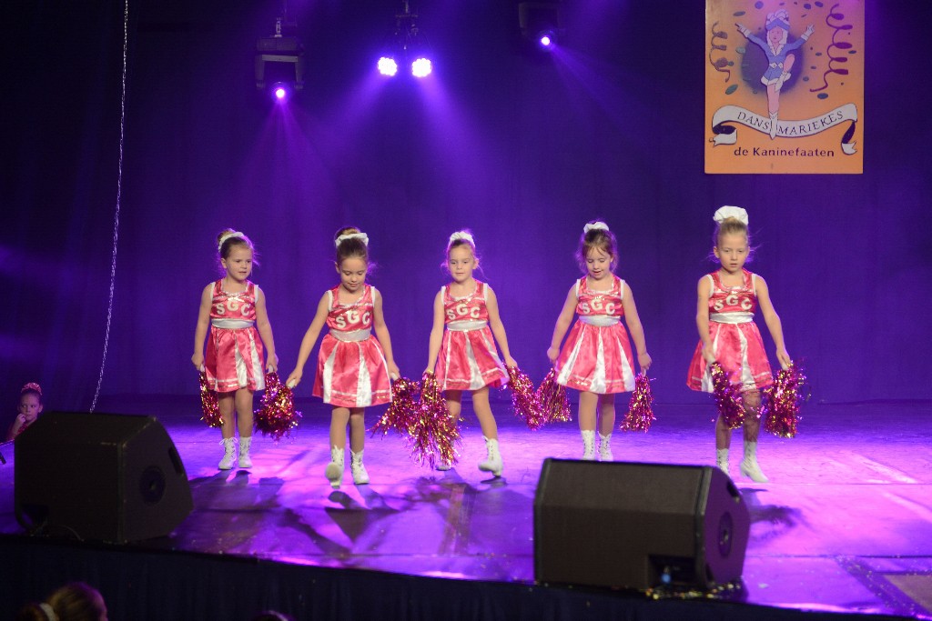../Images/Dansmarieke Festival 2016 241.jpg